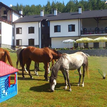 Rusaliite Adventure House Bachevo  Zewnętrze zdjęcie