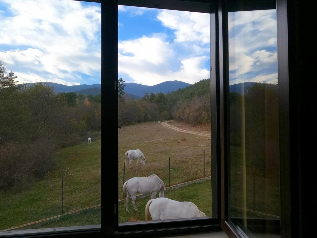 Rusaliite Adventure House Bachevo  Zewnętrze zdjęcie