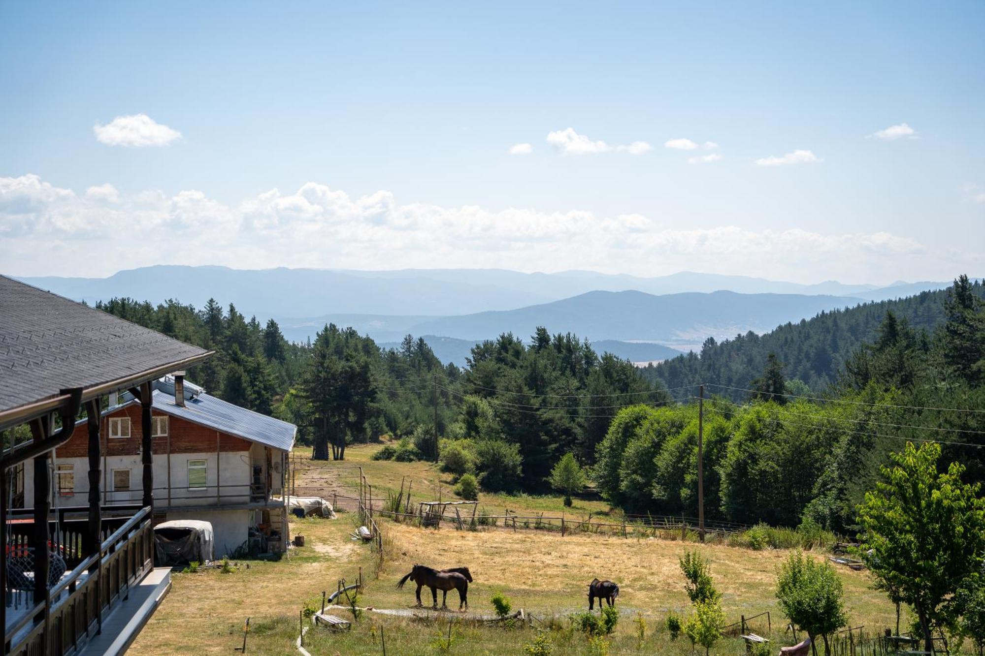 Rusaliite Adventure House Bachevo  Zewnętrze zdjęcie