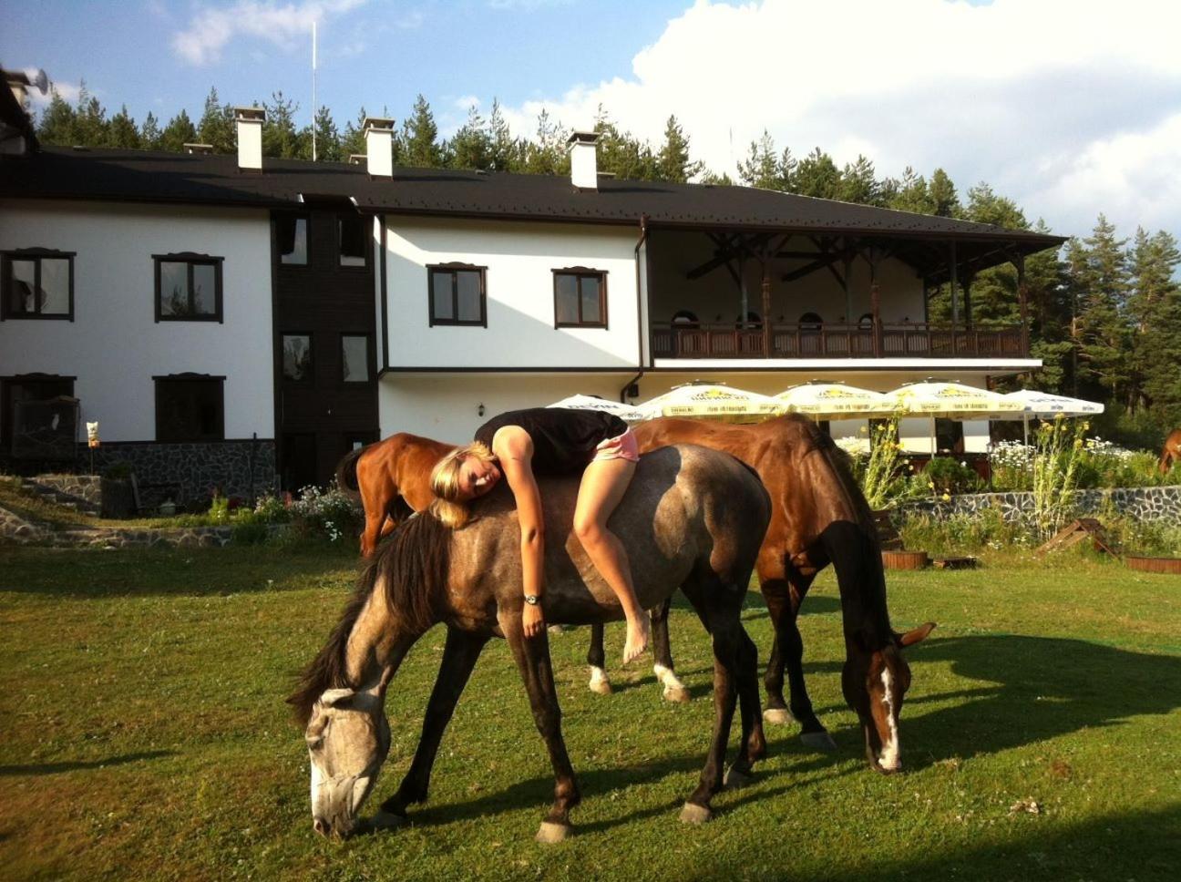 Rusaliite Adventure House Bachevo  Zewnętrze zdjęcie