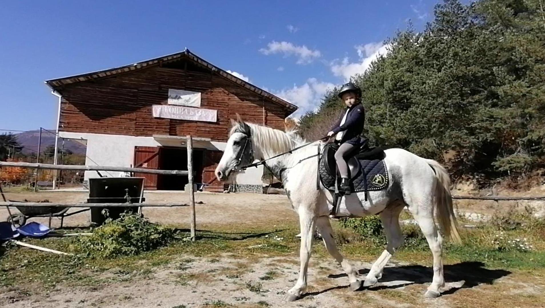 Rusaliite Adventure House Bachevo  Zewnętrze zdjęcie