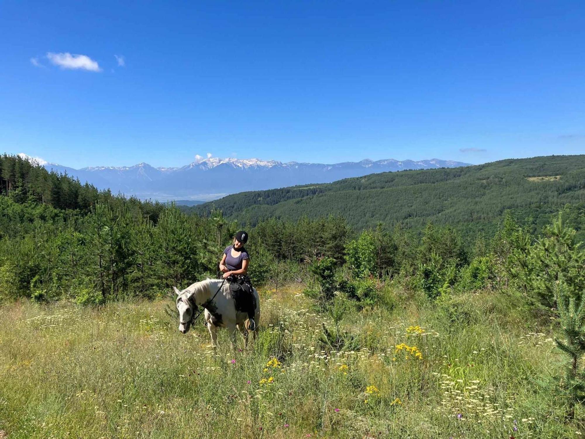 Rusaliite Adventure House Bachevo  Zewnętrze zdjęcie