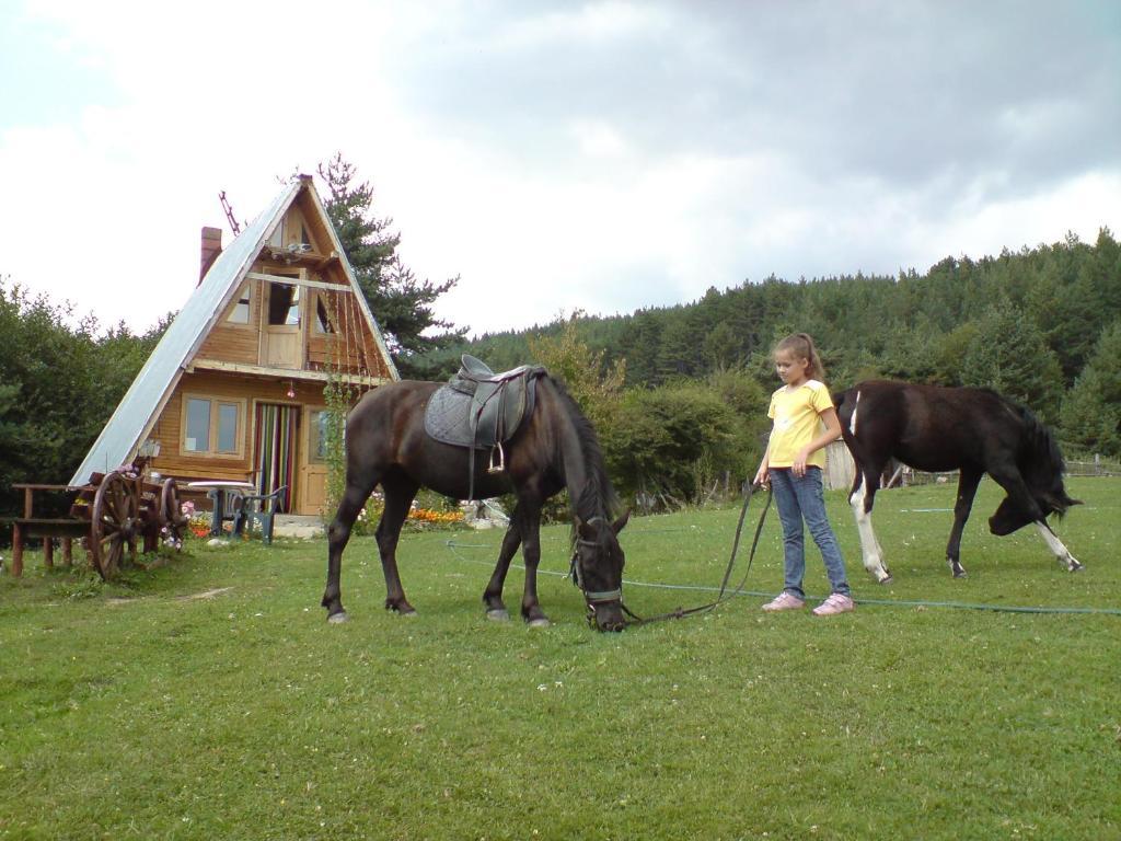 Rusaliite Adventure House Bachevo  Zewnętrze zdjęcie