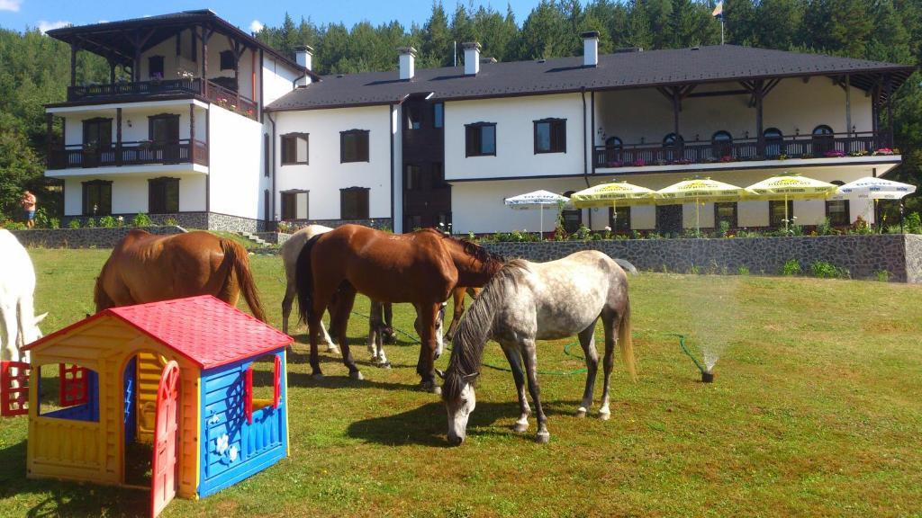 Rusaliite Adventure House Bachevo  Zewnętrze zdjęcie