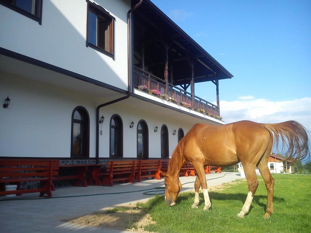 Rusaliite Adventure House Bachevo  Zewnętrze zdjęcie